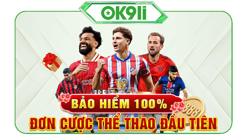 bảo hiểm 100%