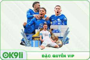 đặc quyền vip
