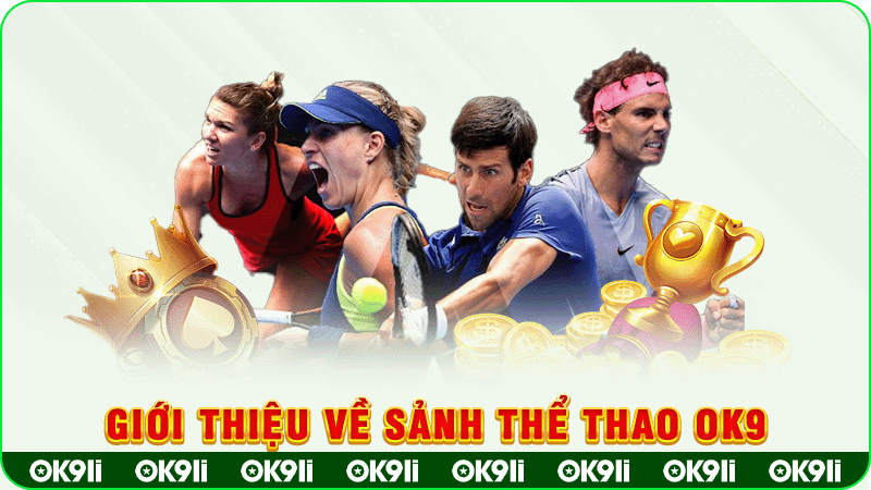 giới thiệu về sảnh thể thao ok9