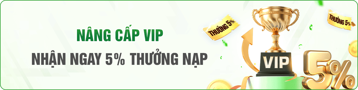 nâng cấp vip hấp dẫn