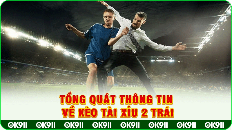 tổng quát thông tin về kèo tài xỉu 2 trái